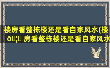 楼房看整栋楼还是看自家风水(楼 🦉 房看整栋楼还是看自家风水好一点)